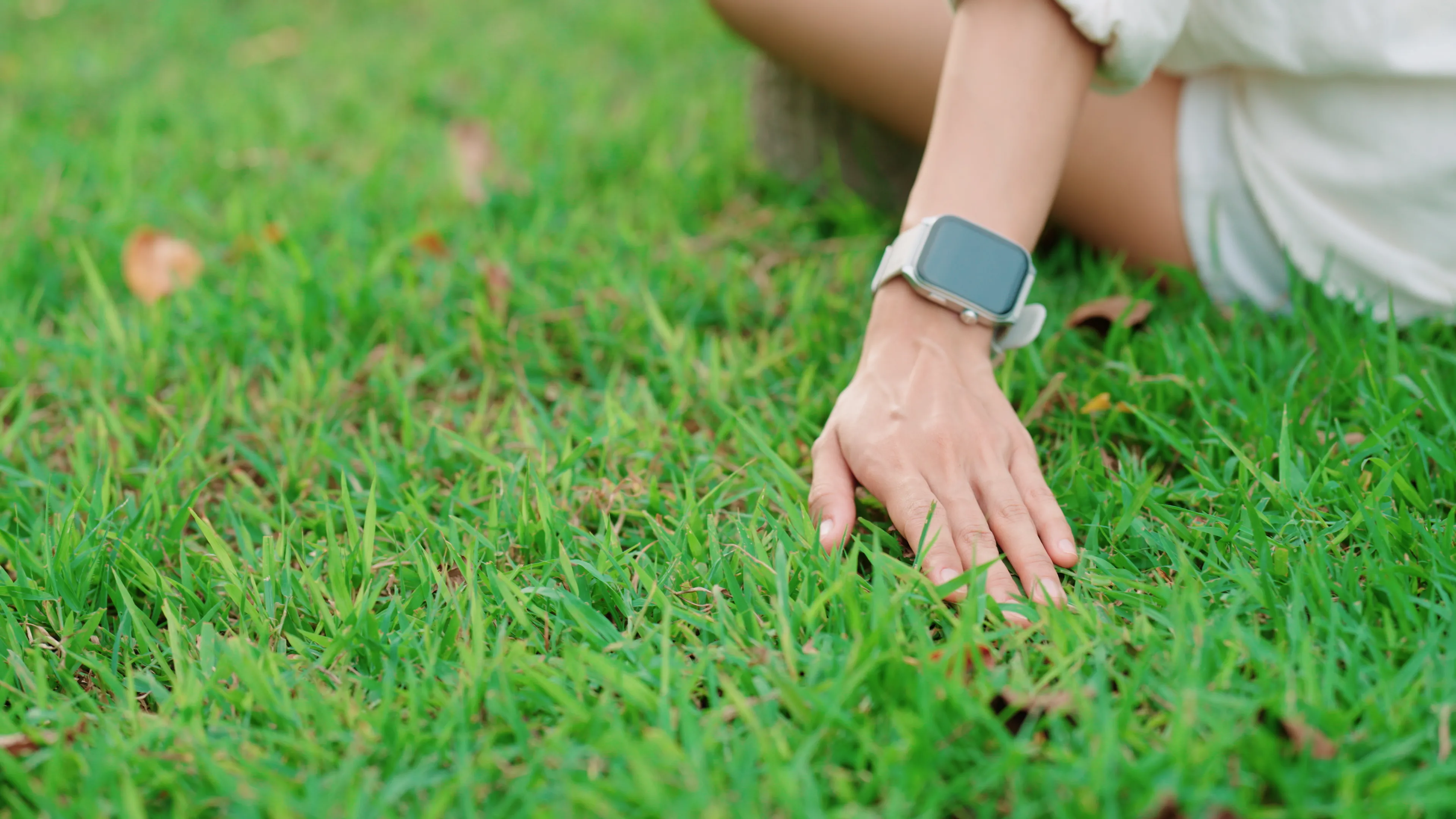How to Touch Grass